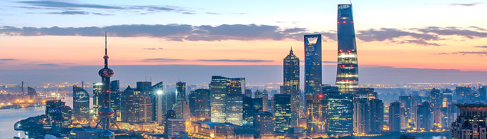 上海安全咨詢(xún)公司